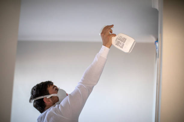  Universal City, TX Mold Removal Pros