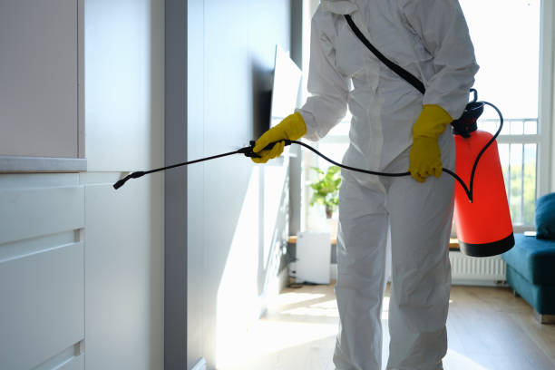Best Crawl Space Mold Removal  in Universal City, TX